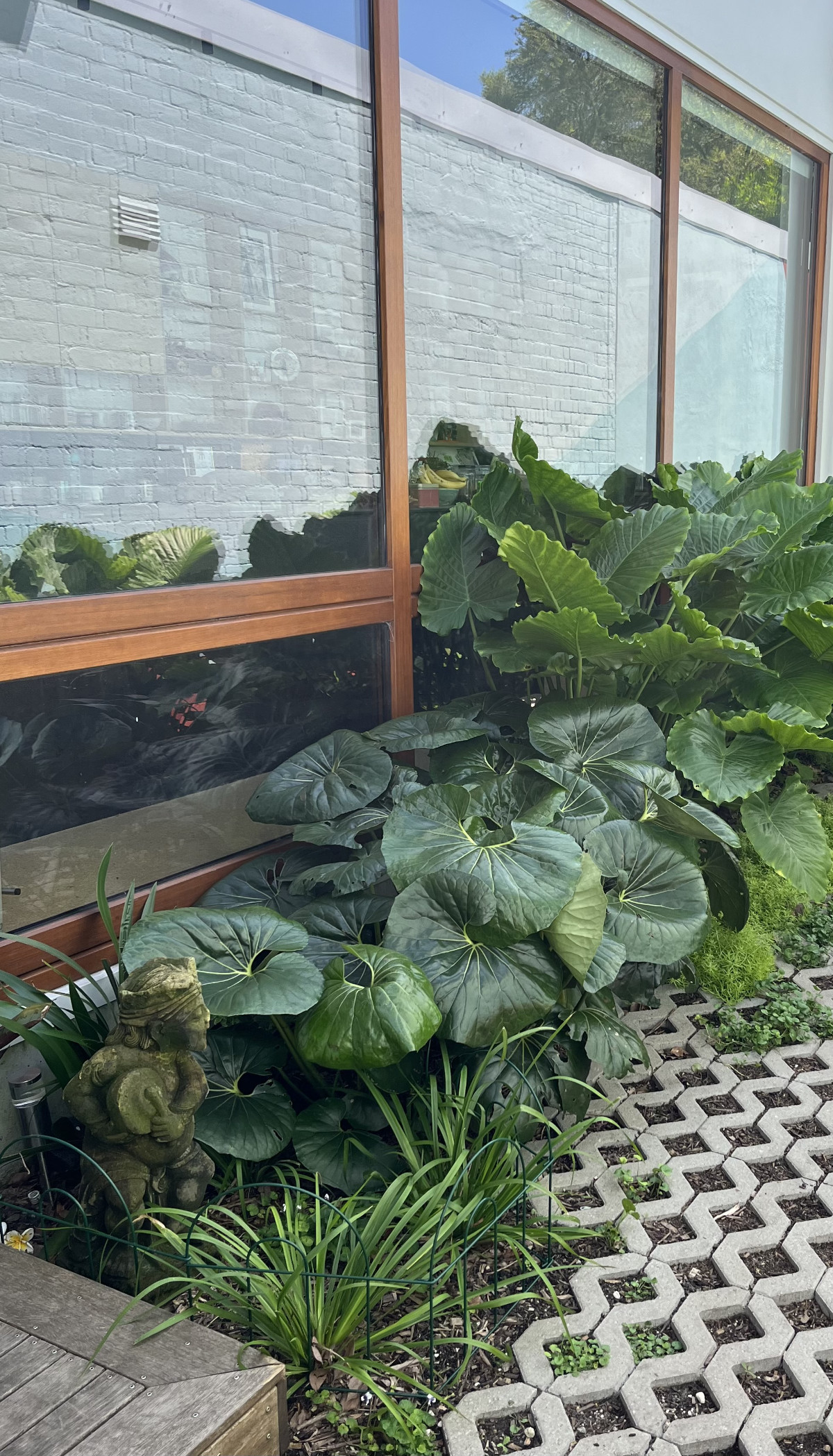 Side passage of Annandale Passive House Sydney